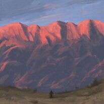 נבו, מדיה דיגיטלית, 2016. | מנחם הלברשטט