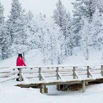 לפלנד, פינלנד. | שאטרסטוק