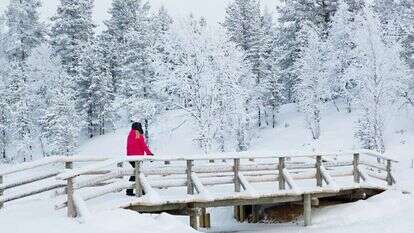 לפלנד, פינלנד. | שאטרסטוק