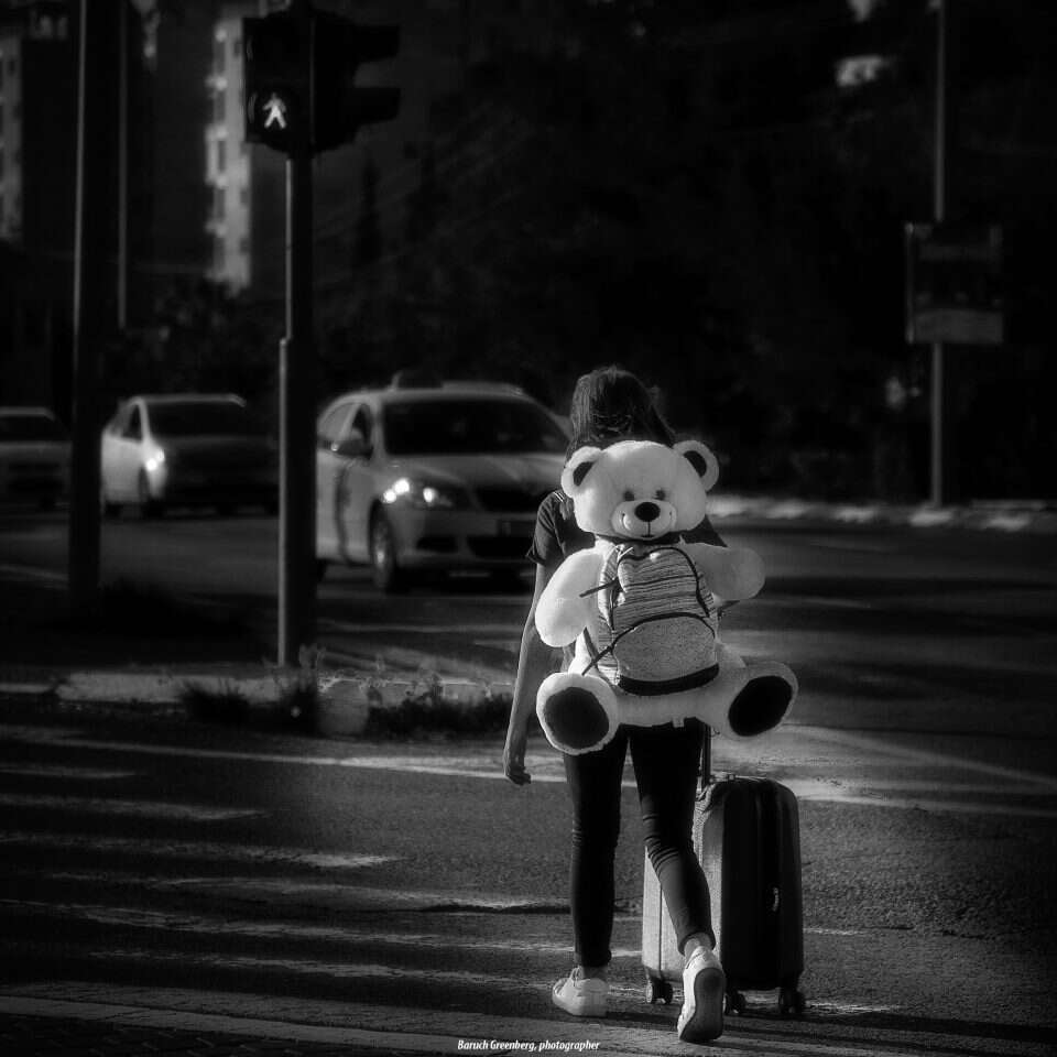 ברוך גרינברג