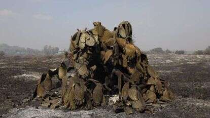 נזקי השריפות בעוטף עזה בעקבות טרור העפיפונים. | EPA