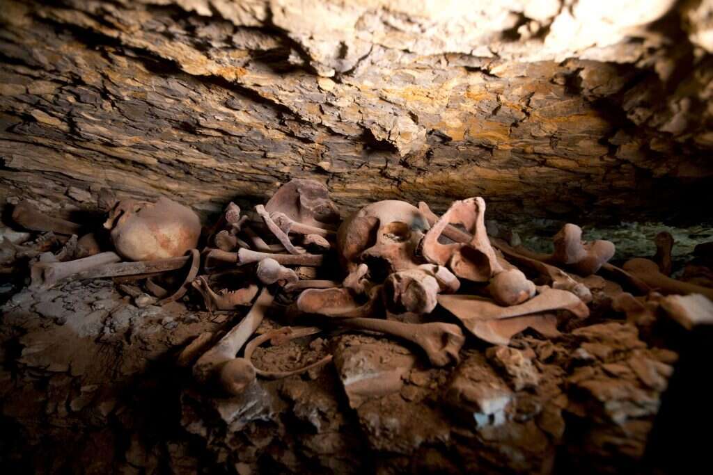 עצמות וגולגלות שנמצאו בבית המלאכה. | AP (לשימוש חד פעמי בלבד)