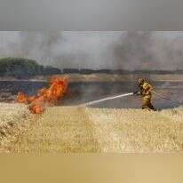 שרפה בעקבות עפיפוני התבערה בשדה חיטה בעוטף עזה, קיץ 2018. | EPA