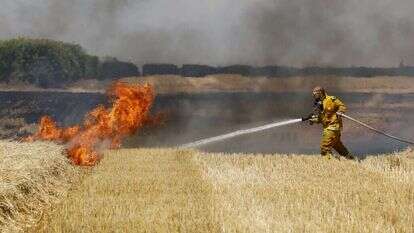 שרפה בעקבות עפיפוני התבערה בשדה חיטה בעוטף עזה, קיץ 2018. | EPA
