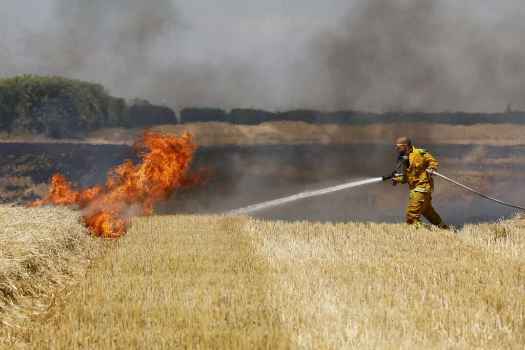 שרפה בעקבות עפיפוני התבערה בשדה חיטה בעוטף עזה, קיץ 2018. | EPA