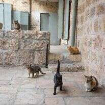 העיר העתיקה. | שאטרסטוק