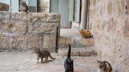 העיר העתיקה. | שאטרסטוק