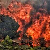 כבאים בניסיון להשתלט על הדליקה. | AFP