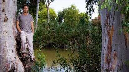 ארנון דטנר. | אריק סולטן