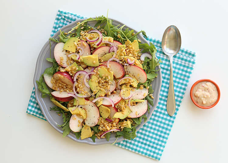 סלט חיטה עם נקטרינות ואבוקדו ברוטב נקטרינות. | אפרת ליכטנשטט סלט חיטה עם נקטרינות ואבוקדו ברוטב נקטרינות. | אפרת ליכטנשטט