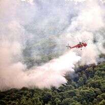 אש ביערות יוון. | AFP