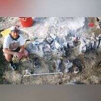 רגל הברכיאזור שנמצאה בוויומינג. | AFP