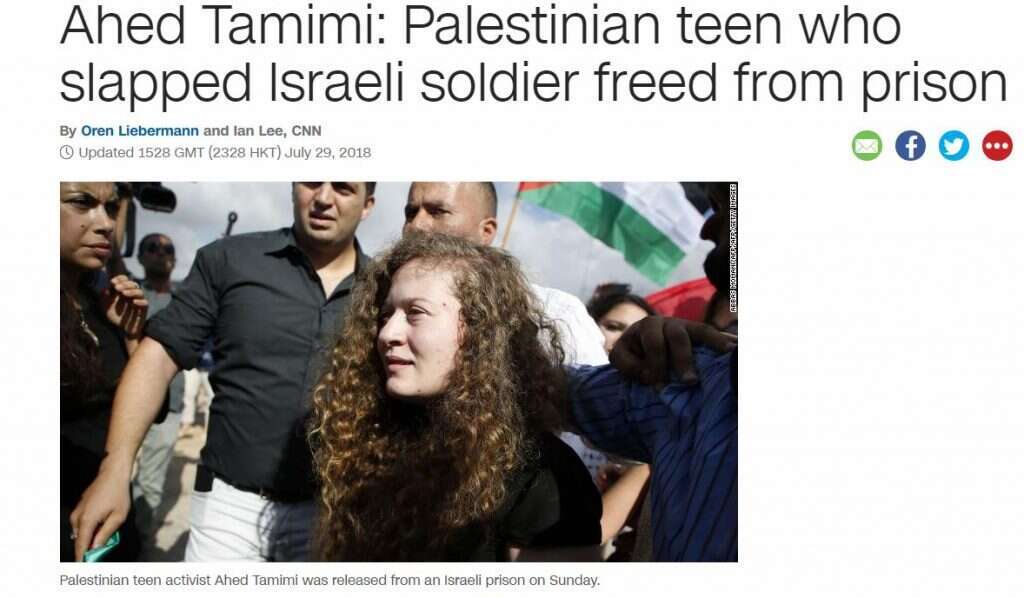 סי.אן.אן. | מסך