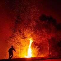 השריפה בקליפורניה. | AFP