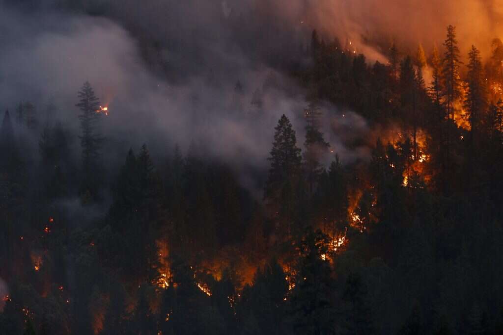 השריפה בקליפורניה. | AFP השריפה בקליפורניה. | AFP