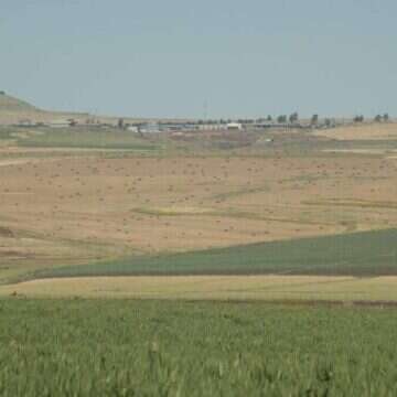 שדות חקלאיים בין קיבוץ לביא לכפר חיטים. | איציק אברבנאל קיבוץ לביא