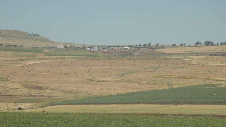 שדות חקלאיים בין קיבוץ לביא לכפר חיטים. | איציק אברבנאל קיבוץ לביא