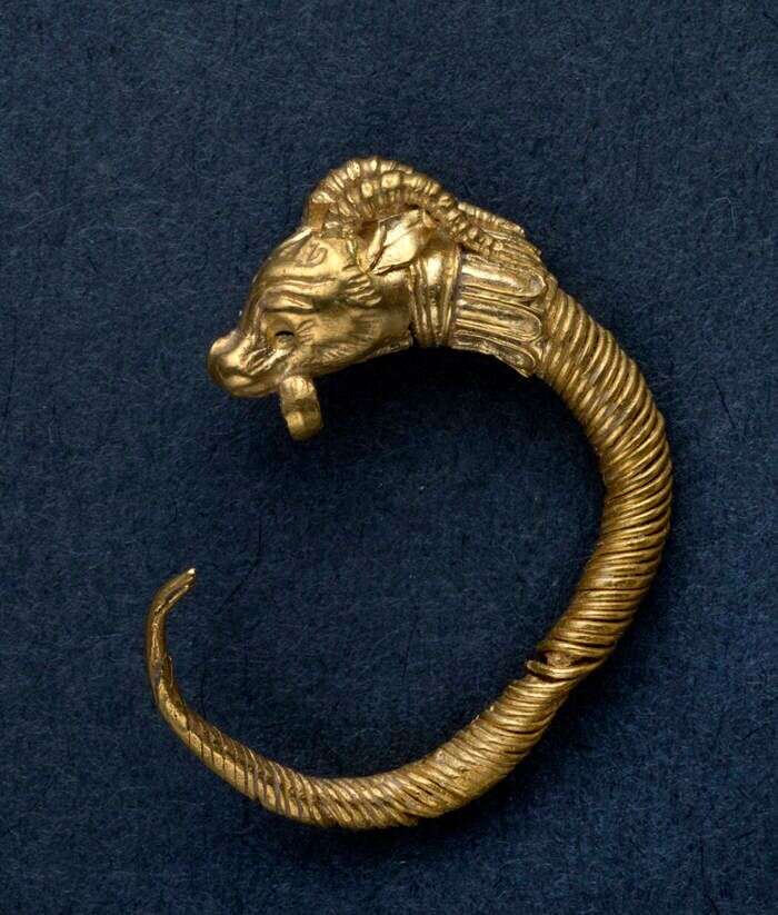 העגיל שהתגלה בחפירות. | קלרה עמית, רשות העתיקות