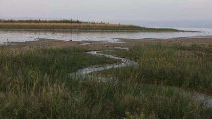 האי שנחשף בכנרת. | מרים צחי האי שנחשף בכנרת. | מרים צחי