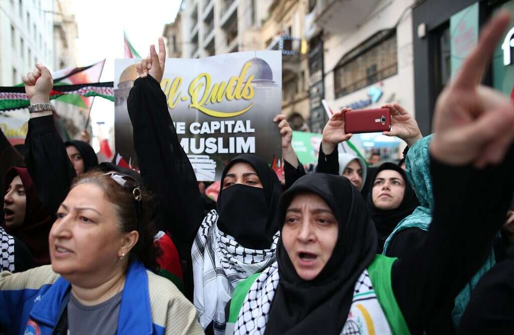 הפגנה לציון יום השנה למשט המרמרה בטורקיה של חברי ארגון IHH. | EPA הפגנה לציון יום השנה למשט המרמרה בטורקיה של חברי ארגון IHH. | EPA