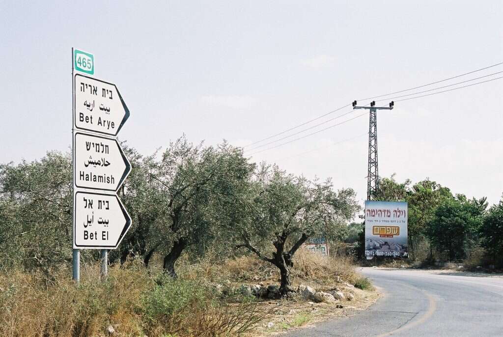 הדרך לבית אל. | מרים צחי