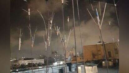 "חלום הנחש" -  טליה קינן וגיא שרף. | יהודית שלוסברג