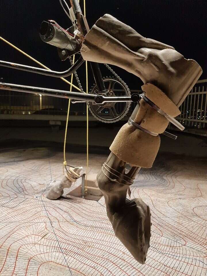 "תכלת" - פרל ויסטוב. | רחלי ריף