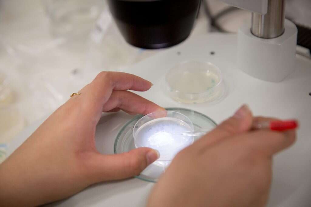 המעבדה בפקולטה למדעי הטבע בגבעת־רם. | מרים אלסטר, פלאש 90 המעבדה בפקולטה למדעי הטבע בגבעת־רם. | מרים אלסטר, פלאש 90