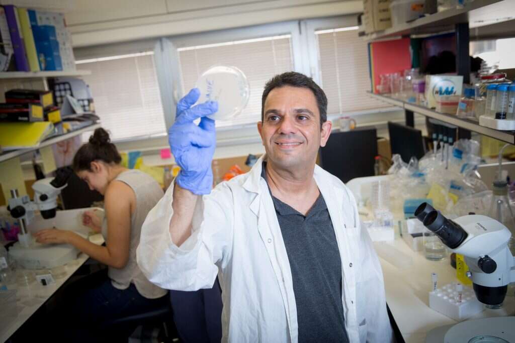 ד"ר אלון זסלבר. | מרים אלסטר, פלאש 90 ד"ר אלון זסלבר. | מרים אלסטר, פלאש 90