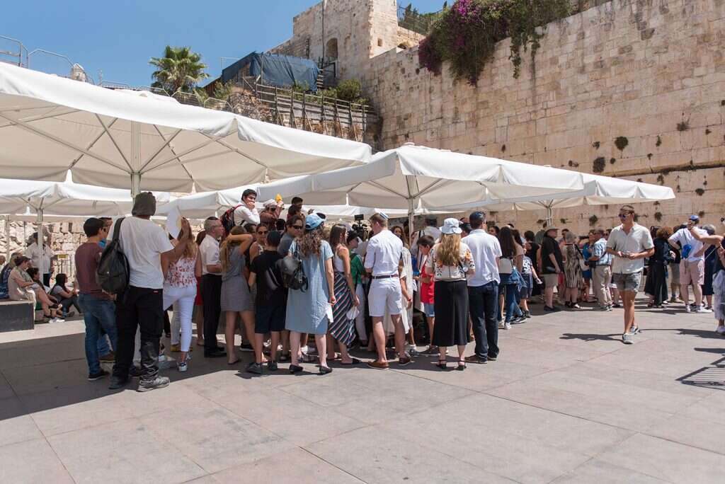 משפחת גולן. | אביטל הירש