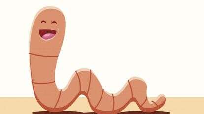 איור: שאטרסטוק איור: שאטרסטוק