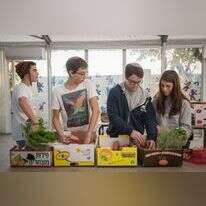 תלמידים קונים מזון לנזקקים. | הדס פרוש/פלאש 90