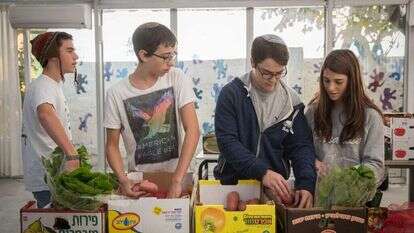 תלמידים קונים מזון לנזקקים. | הדס פרוש/פלאש 90