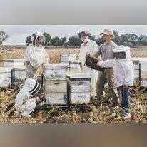 דבוראים בצפון. | השומר החדש, תאיר מלכה