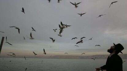 תפילה על הבצורת בטבריה, 2008. | מרים צחי