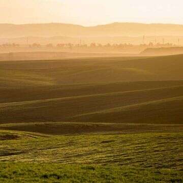 זריחה בביתרונות רוחמה. | מאור קינסבורסקי, פלאש 90