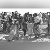 פליטים פלסטינים. | משה מילנר לע"מ