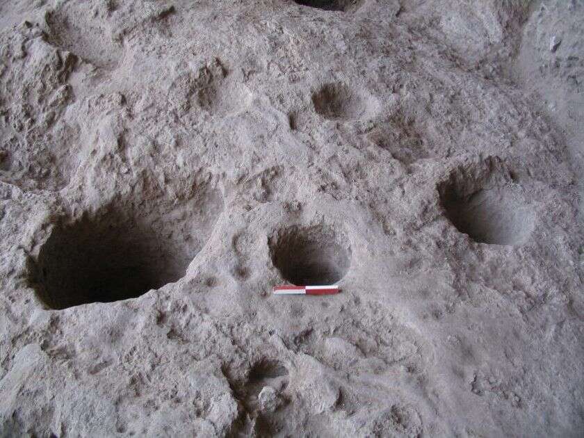 הממצאים. | דני נדל