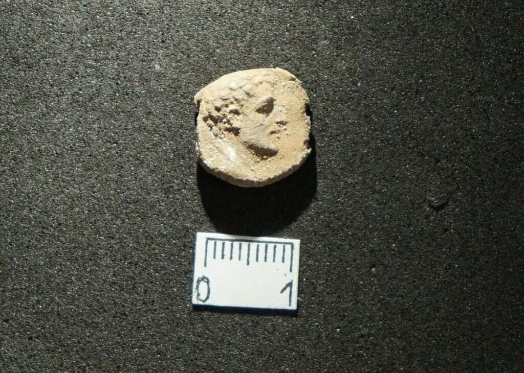 בולה שנמצאה בחפירות. | אסף שטרן בולה שנמצאה בחפירות. | אסף שטרן