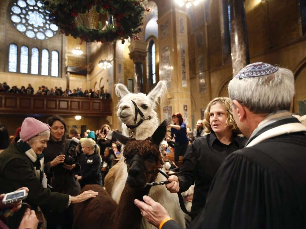 בית כנסת אמריקאי (למצולמים אין קשר לכתבה) | איי.פי