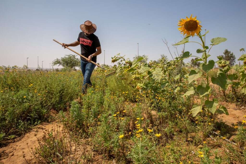 מסורת וקדמה הולכות יד ביד. חוות ואדי עתיר. | יוסי אלוני
