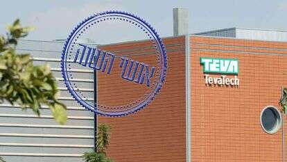 מפעל טבע. | דודו גרינשפן