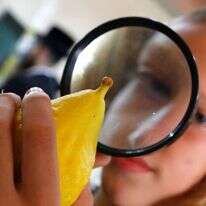 שוק ארבעת המינים בשכונת מאה שערים בירושלים. חג סוכות תשע''ט. | AFP