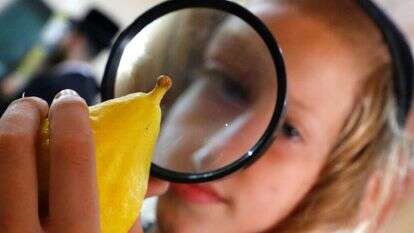 שוק ארבעת המינים בשכונת מאה שערים בירושלים. חג סוכות תשע''ט. | AFP