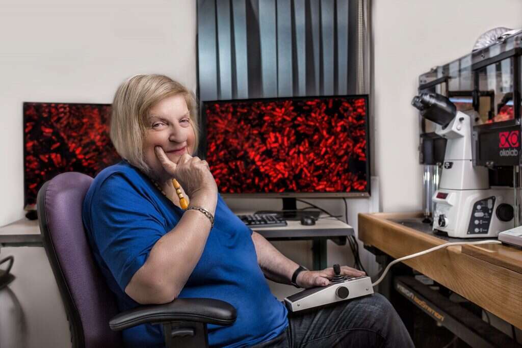 חנה אנגלברג קולקה. | דוד סאלם, זוג הפקות