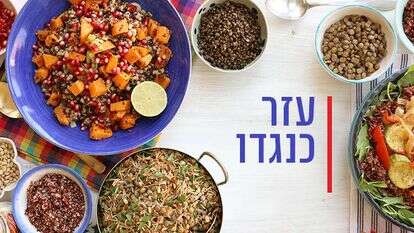 אפרת ליכטנשטט אפרת ליכטנשטט