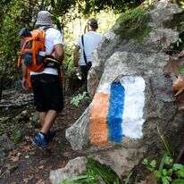 נחל עמוד. | דב גרינבלט - החברה להגנת הטבע