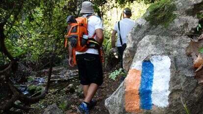 נחל עמוד. | דב גרינבלט - החברה להגנת הטבע