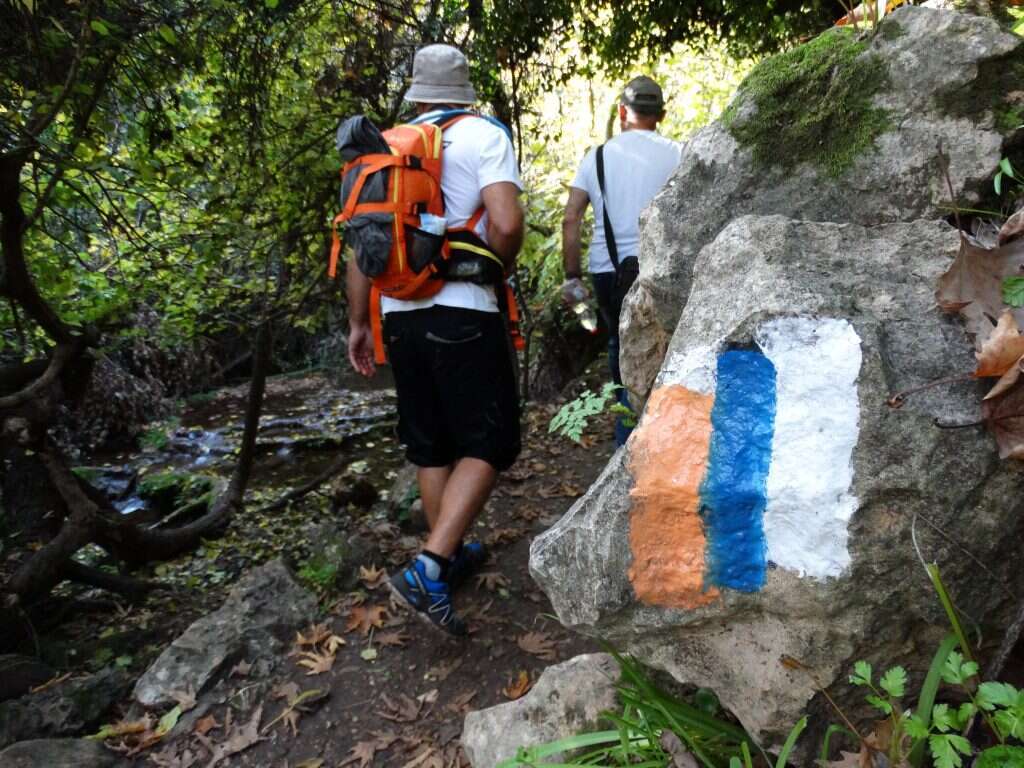 נחל עמוד. | דב גרינבלט - החברה להגנת הטבע