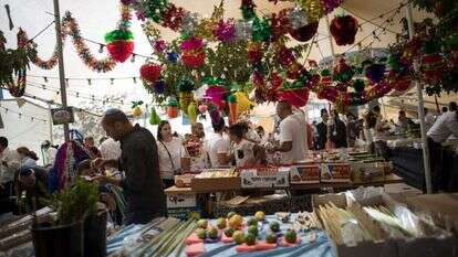 הדס פרוש, פלאש 90